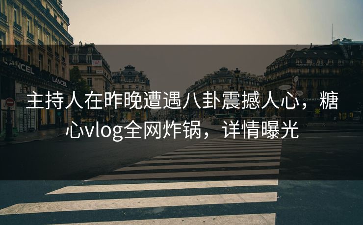 主持人在昨晚遭遇八卦震撼人心，糖心vlog全网炸锅，详情曝光  第1张