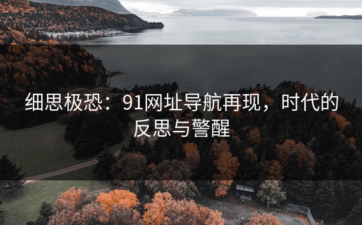 细思极恐：91网址导航再现，时代的反思与警醒  第1张